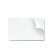 Zebra, cartes Blanches PVC adhsives. 0,25 mm d'paisseur