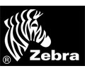 420 - Rubans Zebra